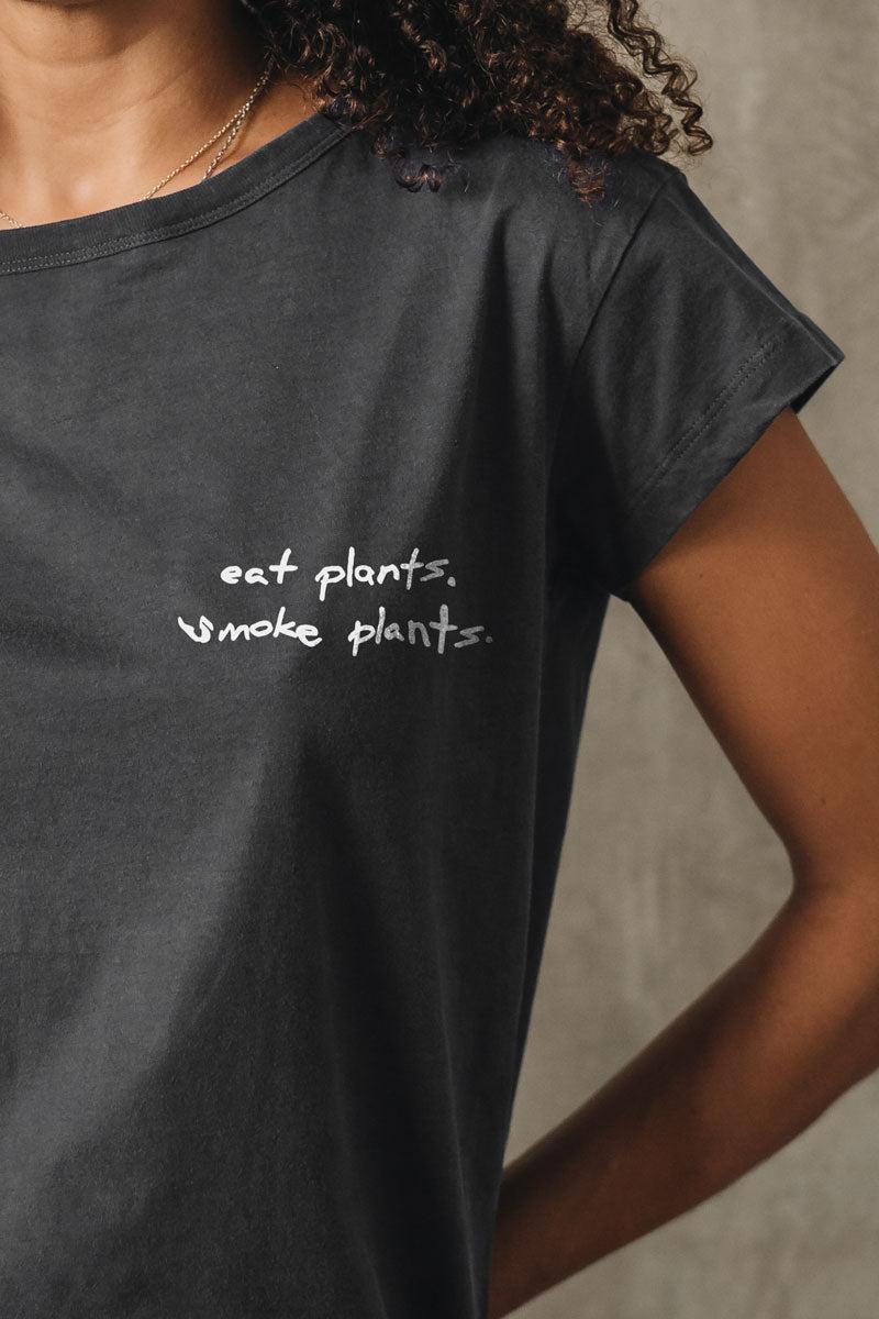 Smoke plants